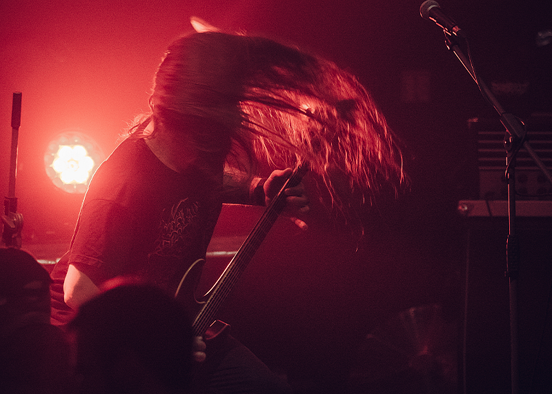 Rotten Fest